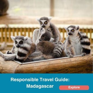 Responsible Travel Guide: Madagascar