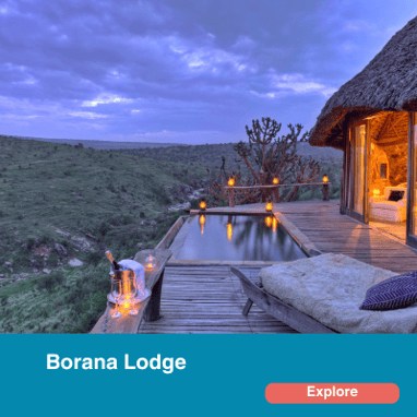 Borana Lodge 