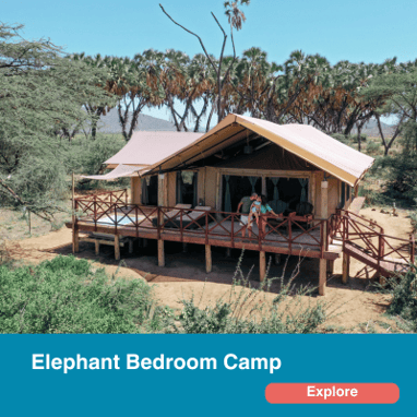 Elephant bedroom camp
