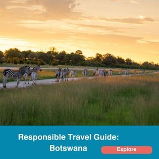 Responsbile Travel Guide: Botswana