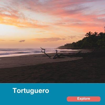 Tortuguero