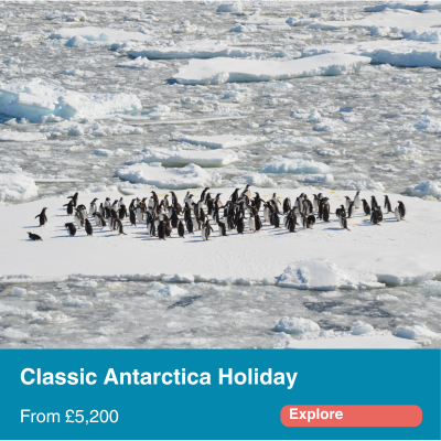 Classic Antarctica holiday
