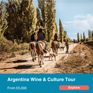 Argentina wine tour.