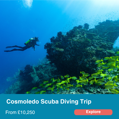 cosmoledo scuba diving trip