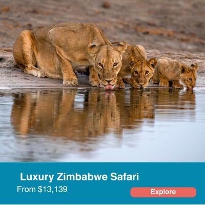 Luxury Zimbabwe Safari