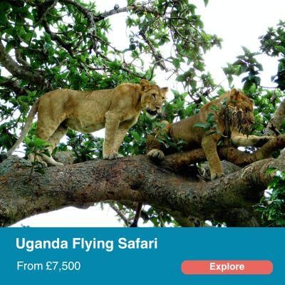 Uganda Flying Safari