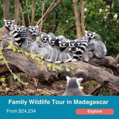 Family Wildlife Tour in Madagascar