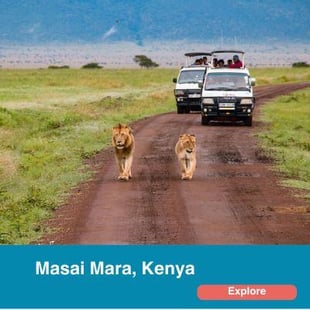 Masai Mara, Kenya