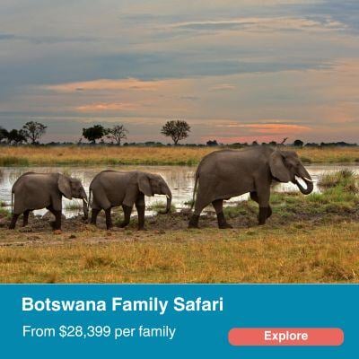 Botswana Family Safari