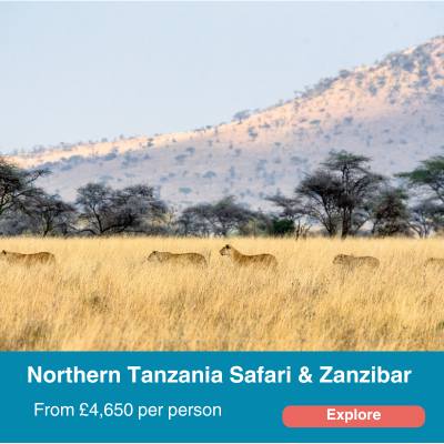 Northern tanzania safari and Zanzibar