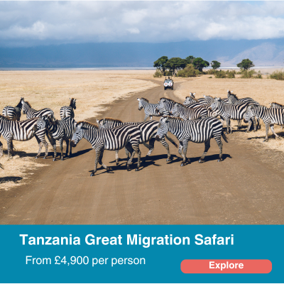 Tanzania Great migration 