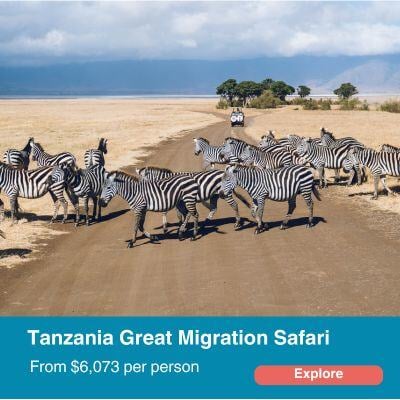 Tanzania Great Migration Safari