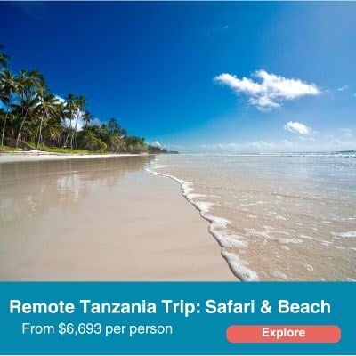 Remote Tanzania Trip: Safari and BEach.