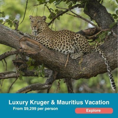 Luxury Kruger and Mauritius Vacation.