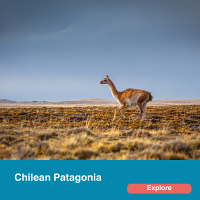 chilean Patagonia