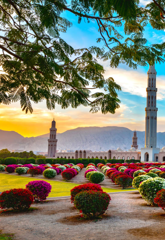 The Grand Mosque at Muscat is surrounded by gardens.