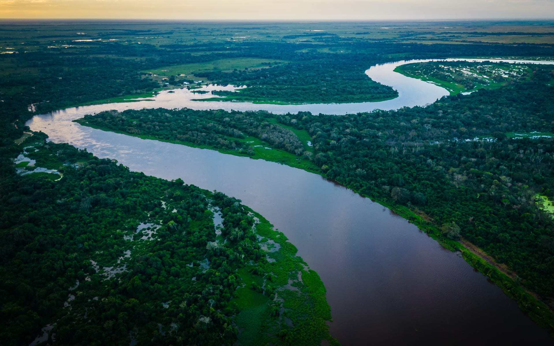 The Rio Negro in the Pantanal winds around thick, green vegetation.