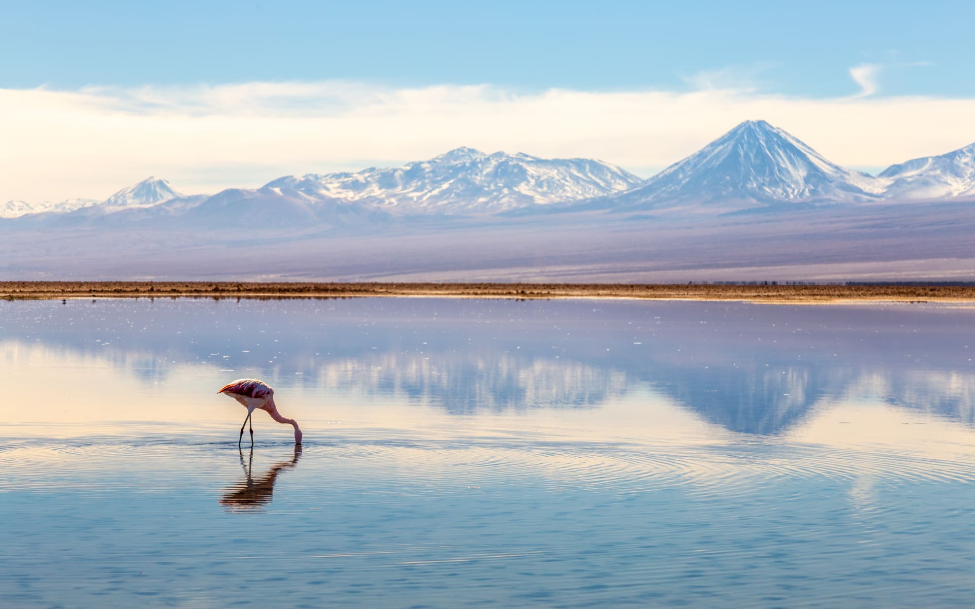 Atacama Desert in Chile 