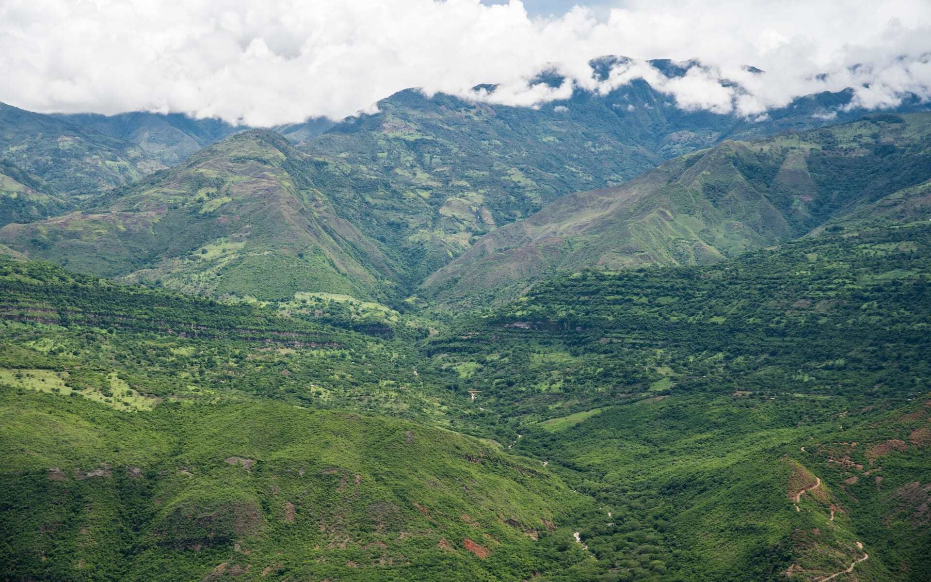 barichara_ colombia_coffee_region_shutterstock_