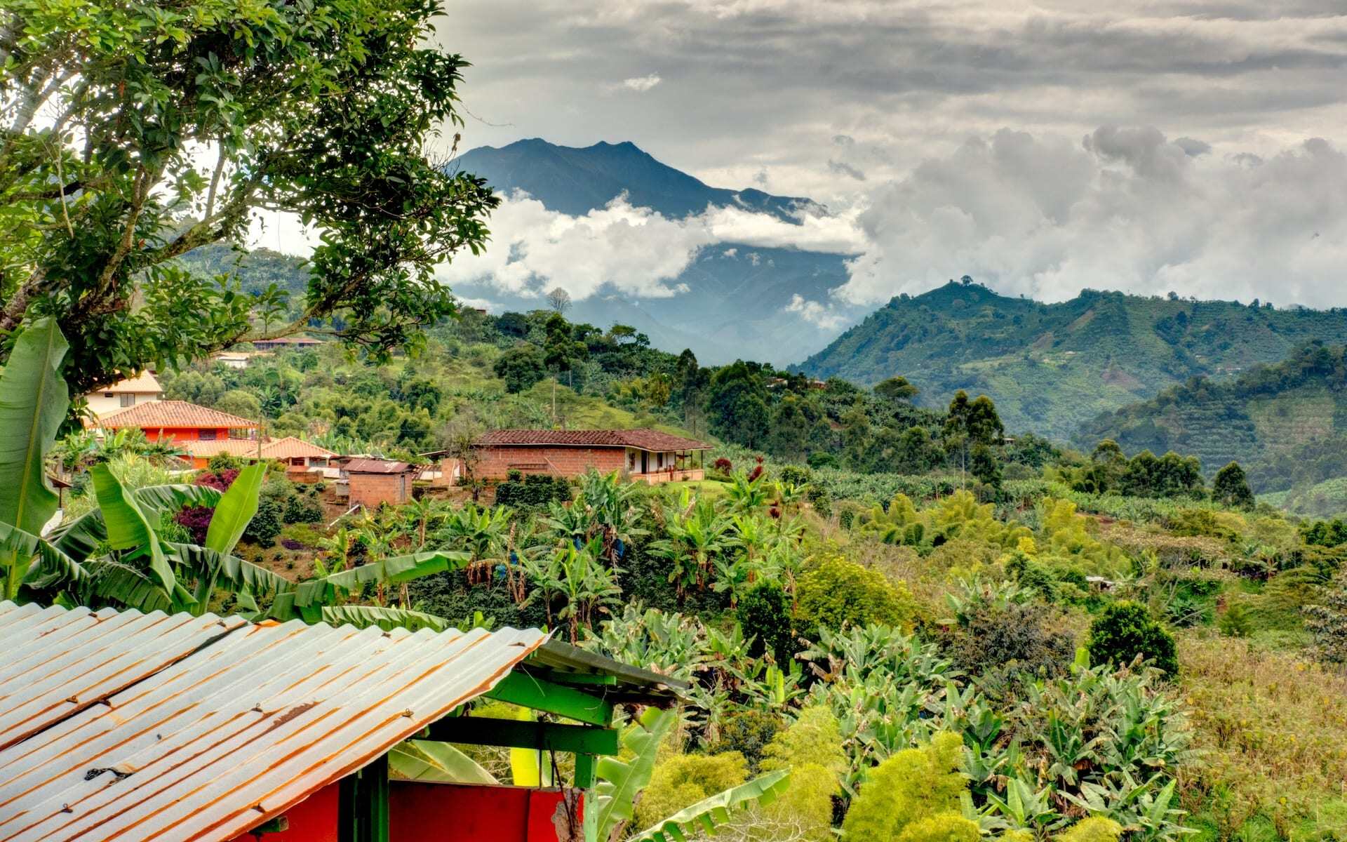 Discover the Colombia coffee region