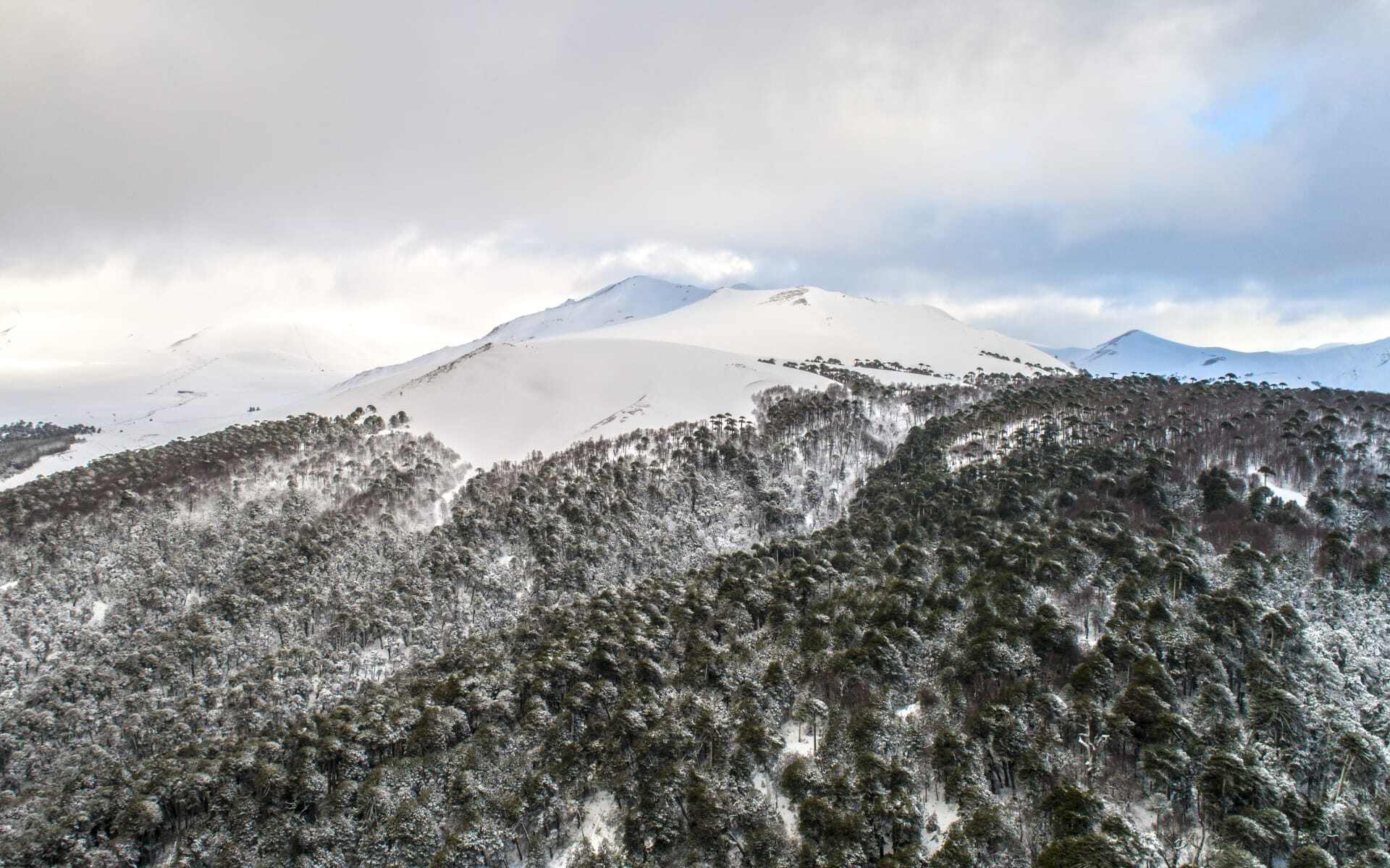 Enjoy skiing in corralco, Chile 