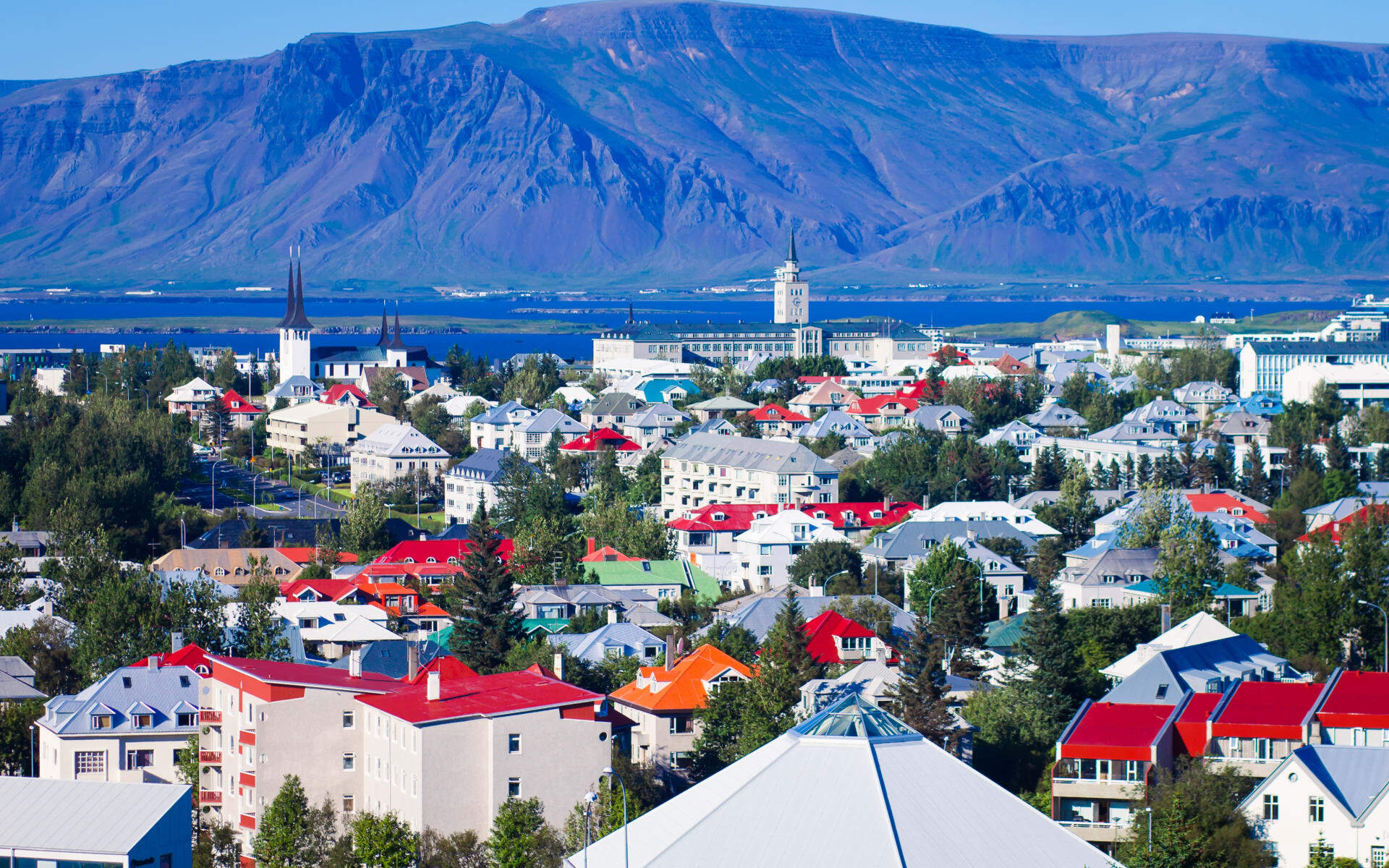 Explore Reykjavic