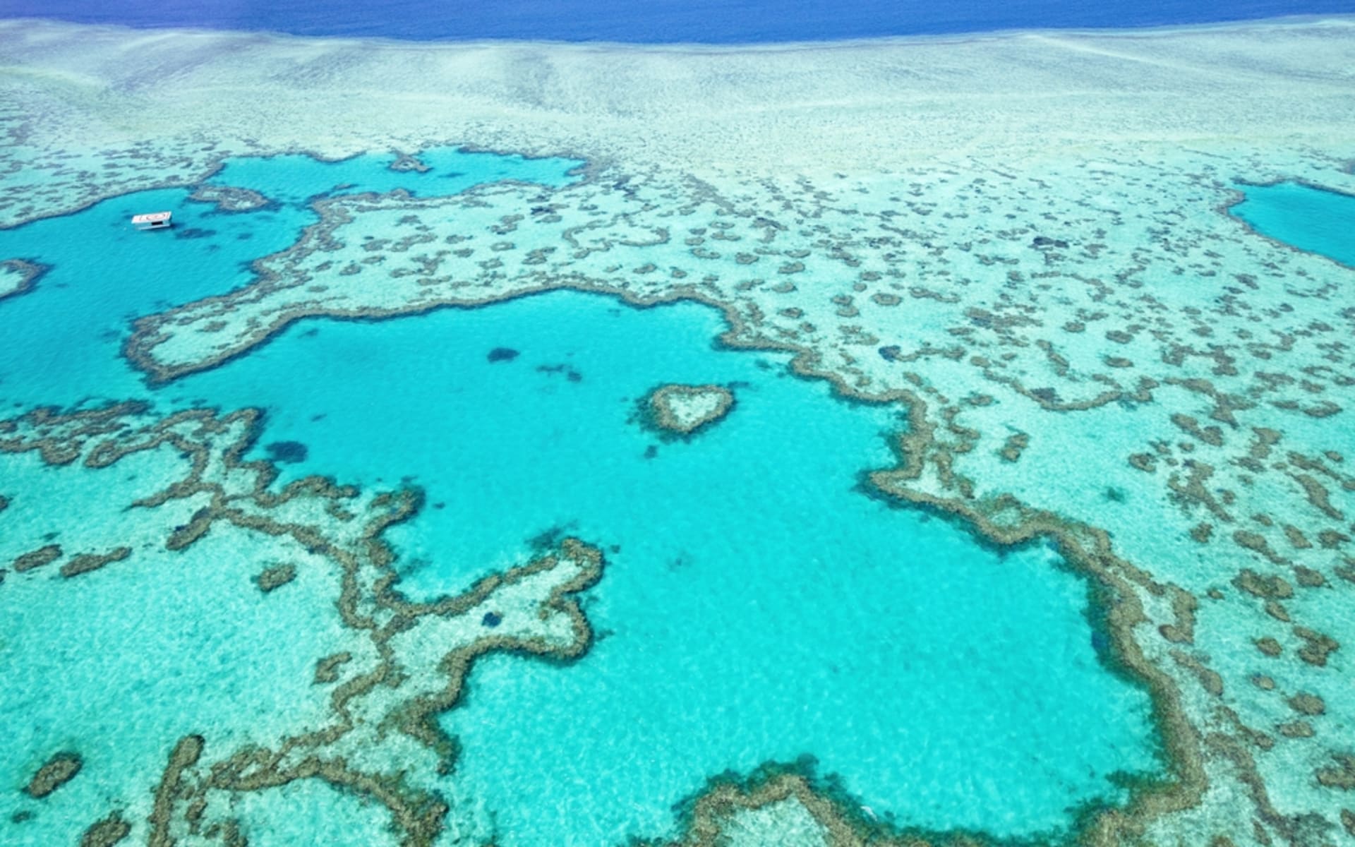 explore the magic of the great barrier reef