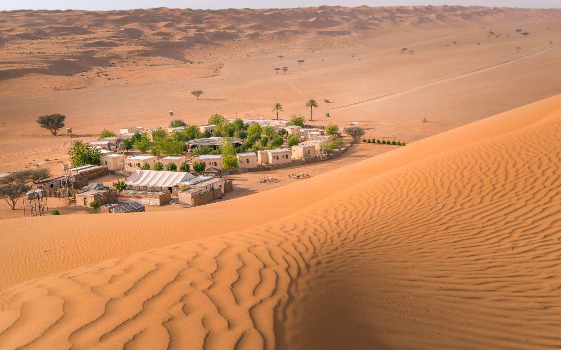 Discover the vast Wahiba sands