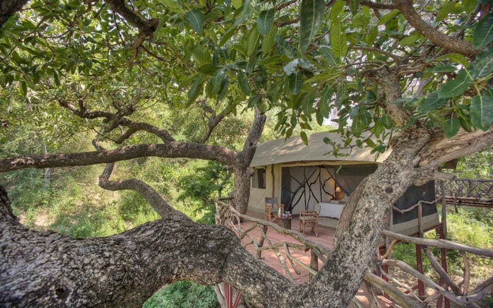 Sarara_Treehouses_12_rshebu