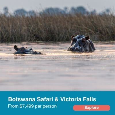 Botswana Safari & Victori Falls