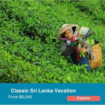 Classic Sri Lanka Vacation