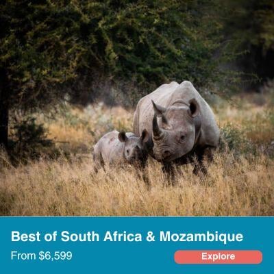 Best of South Africa and Mozambique