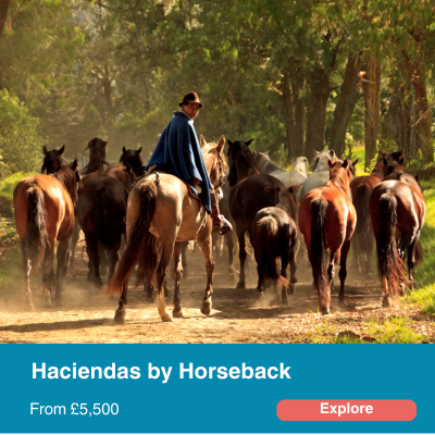 Haciendas on horseback