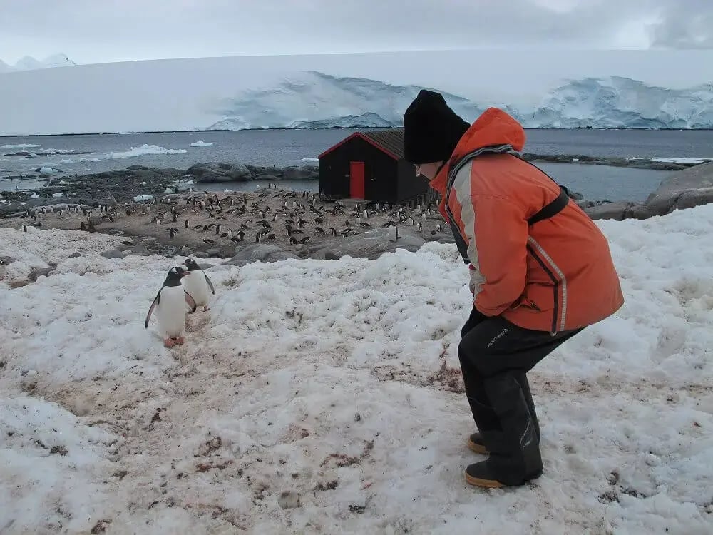 antarctica-expedition-penguin-encounter