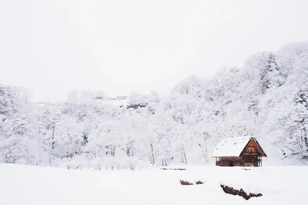 cabin-in-snowy-woods-1