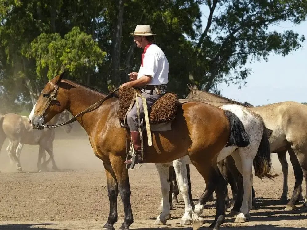 gaucho-horseriding-argentina