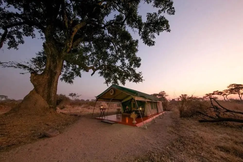 mdonya-old-river-camp-ruaha