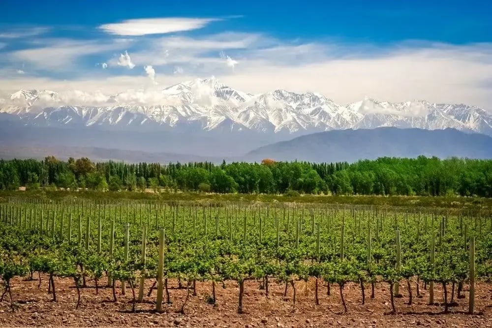 mendoza-wineries-argentinajpg