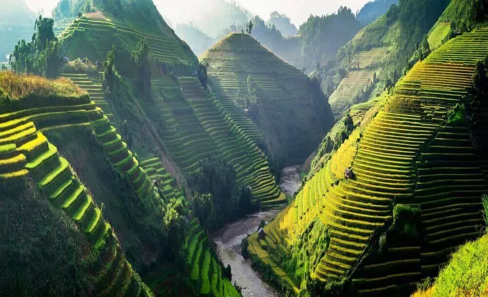 terraced-rice-fields-sapa-vietnam-1