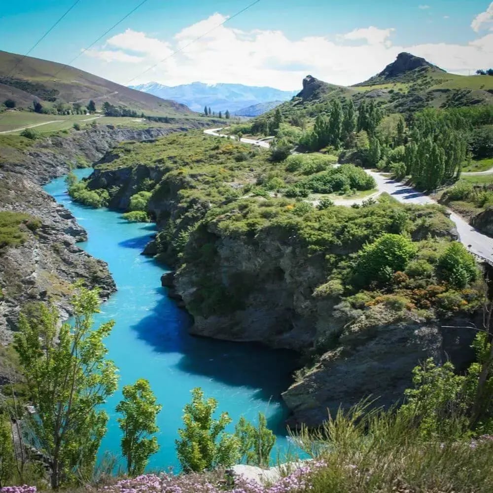 use-wakatipu-chard-farm