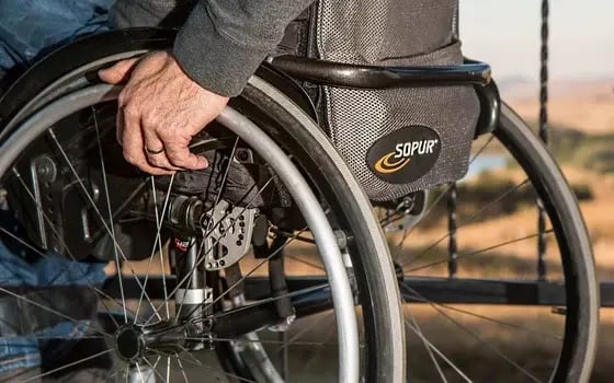 Wheelchair safaris