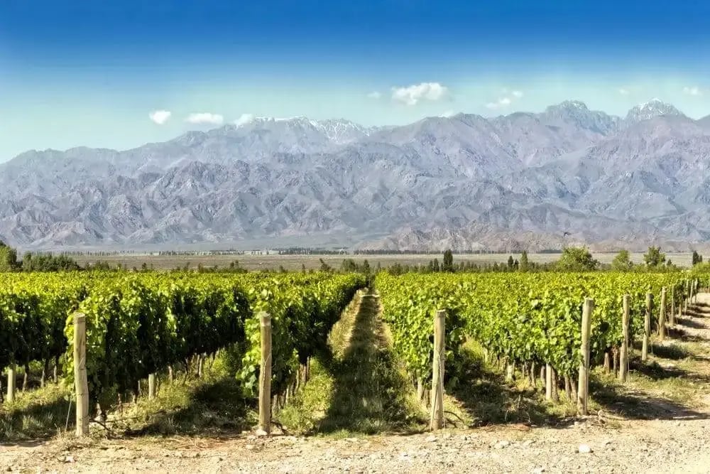 wineries-argentina