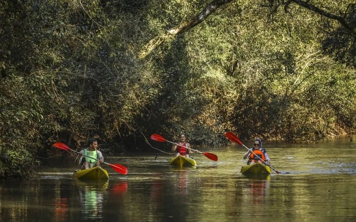 Awasi_Iguazu_Excursiones_-_Yacui_Creek_-_PH_Luciano_Bacchi_nqbsff