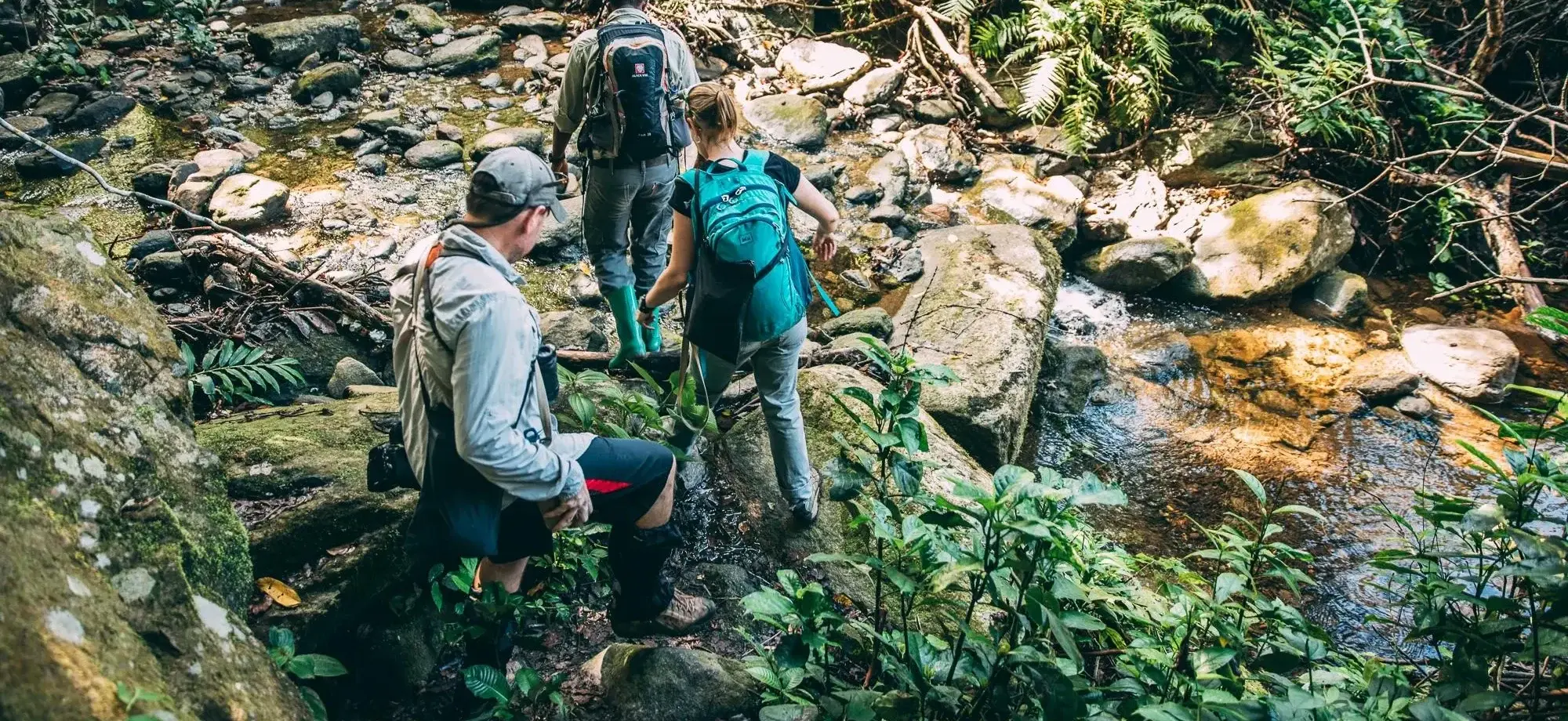 Greystoke_mahale_tanzania_Forest_walks_jsixu2_w1vgdd