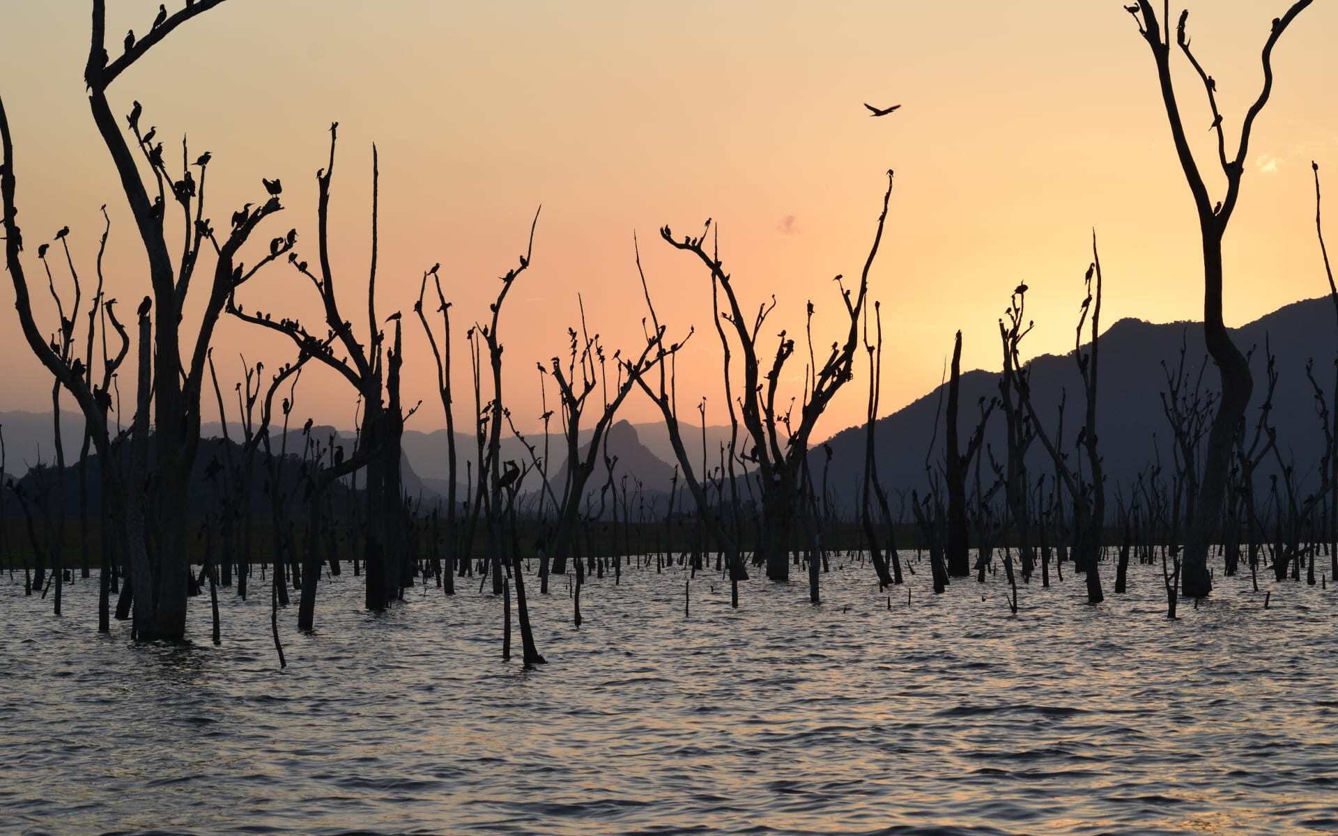 Gal Oya National Park