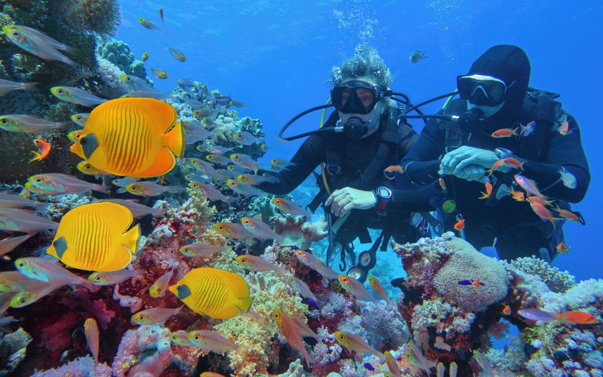 Great Barrier Reef