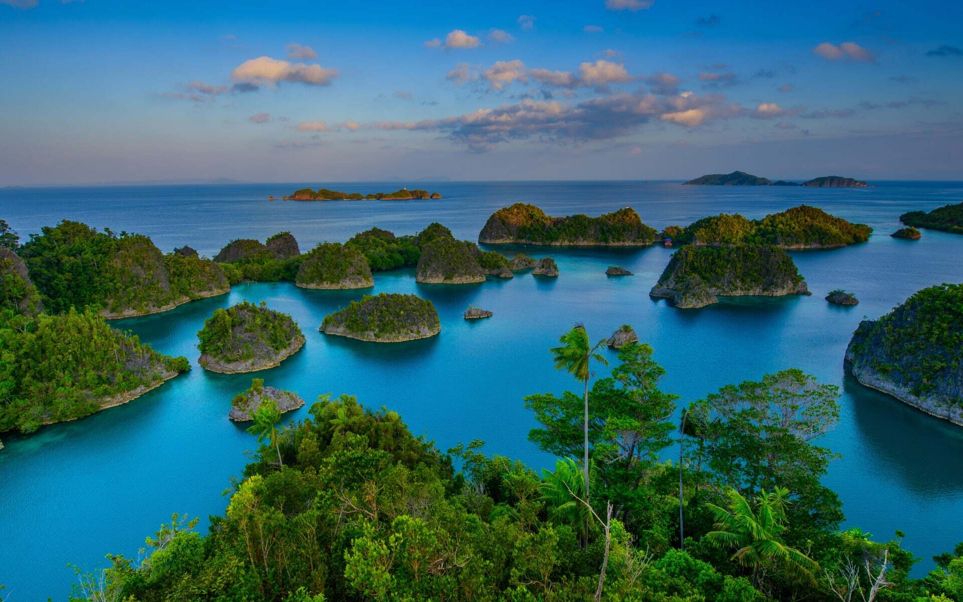 15 Nights Japan Highlights and Raja Ampat