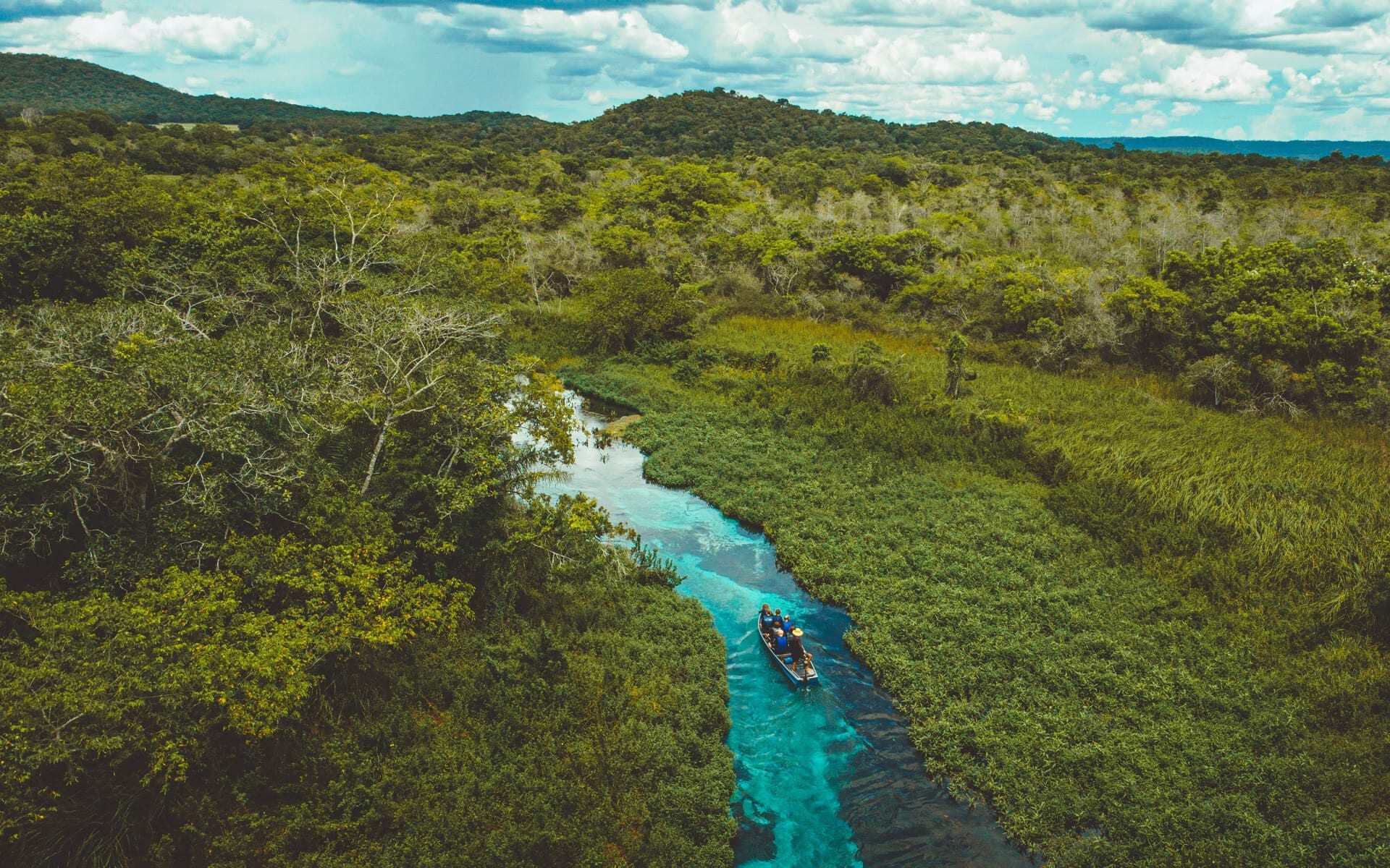 The Pantanal