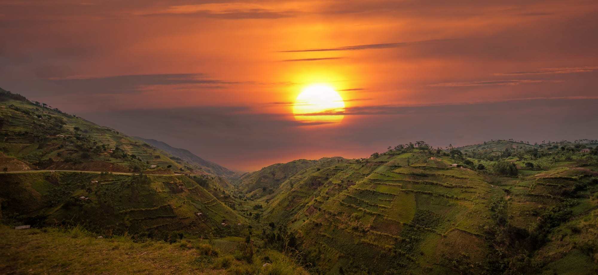 Bwindi Forest in Uganda looks beautiful during sunset.