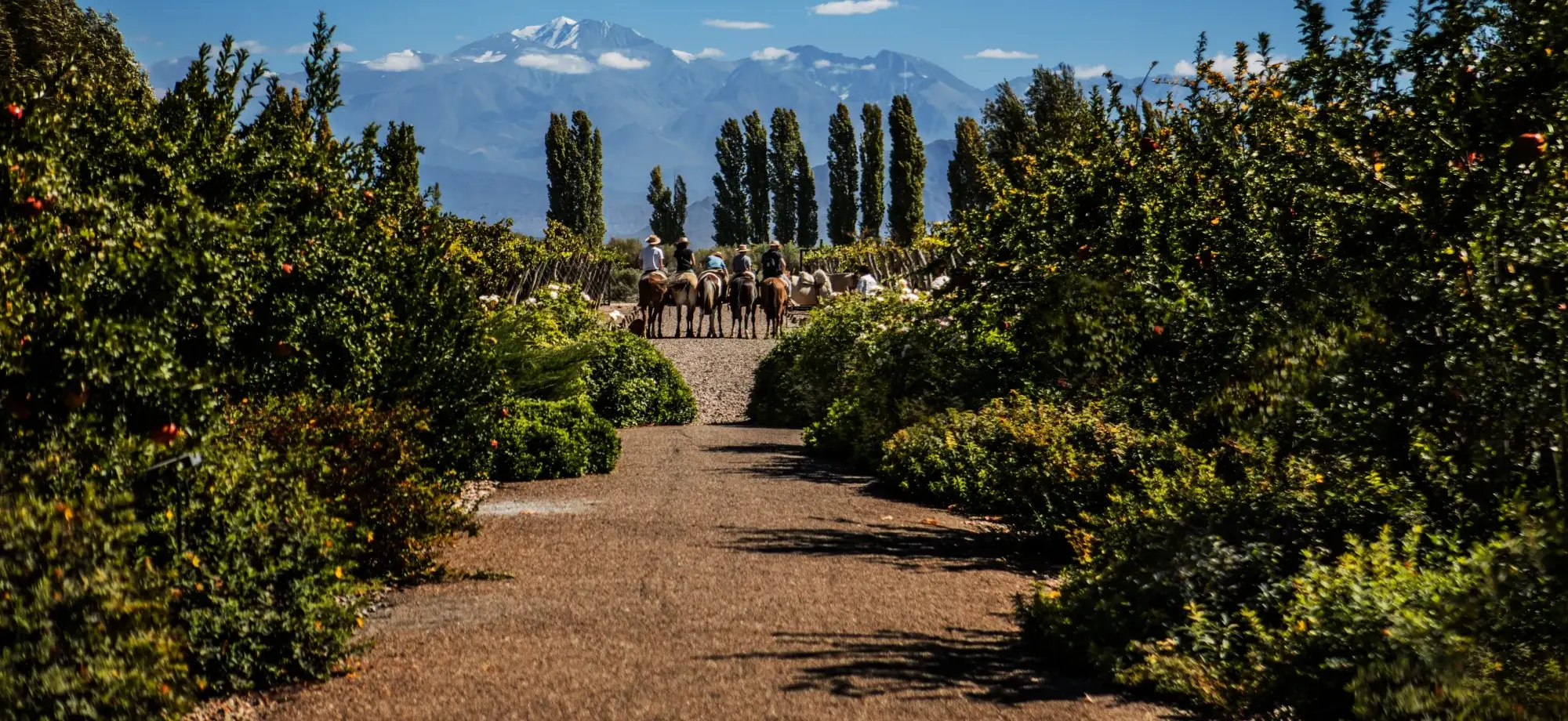 A group of horse riders stand at the end of a tree-framed pathway as mountains rise in the distance.